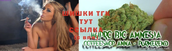 гашик Арсеньев