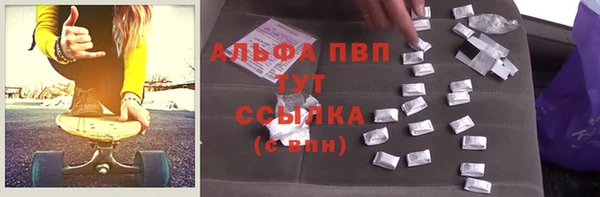 гашик Арсеньев