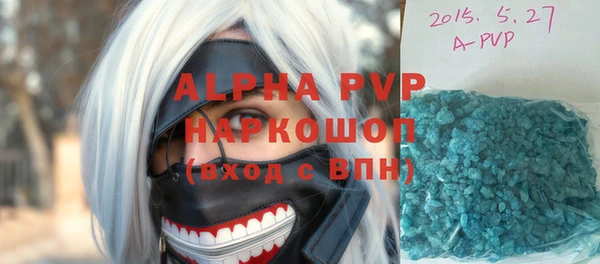 гашик Арсеньев