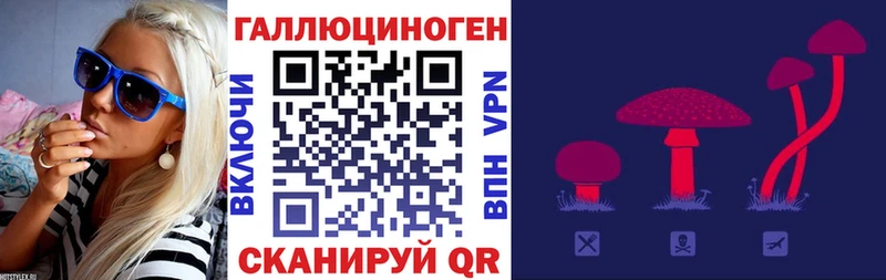 Галлюциногенные грибы ЛСД  площадка официальный сайт  Рудня  где можно купить  